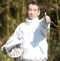 滋賀県に生息するモンスズメバチの特徴と生態